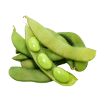frozen vegetables product category